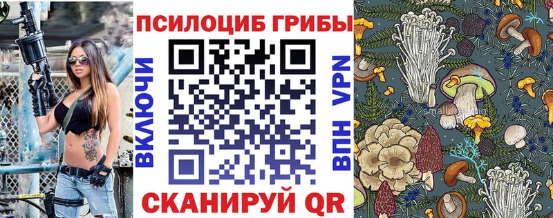 Псилоцибиновые грибы Psilocybe дарнет шоп Людиново